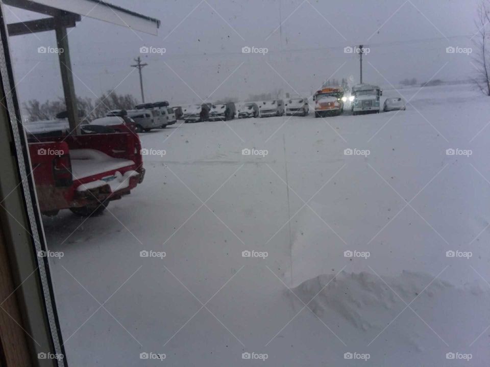 head lights coming toward roller rink.