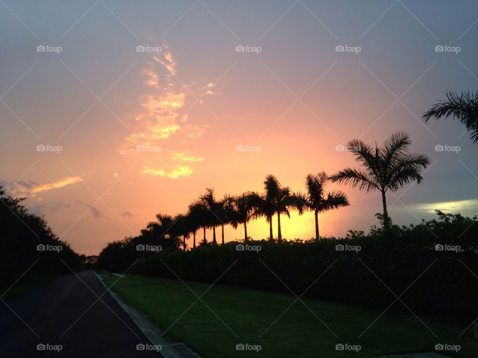 Florida Sunset 