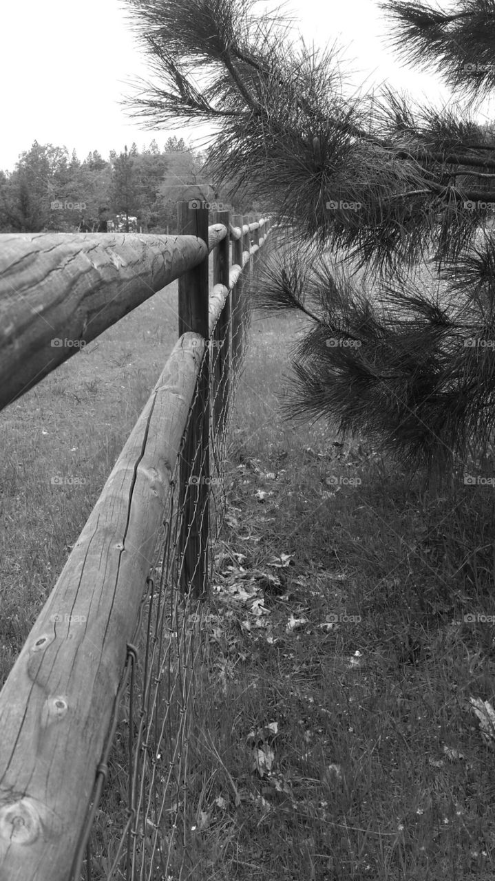 Black n white fence