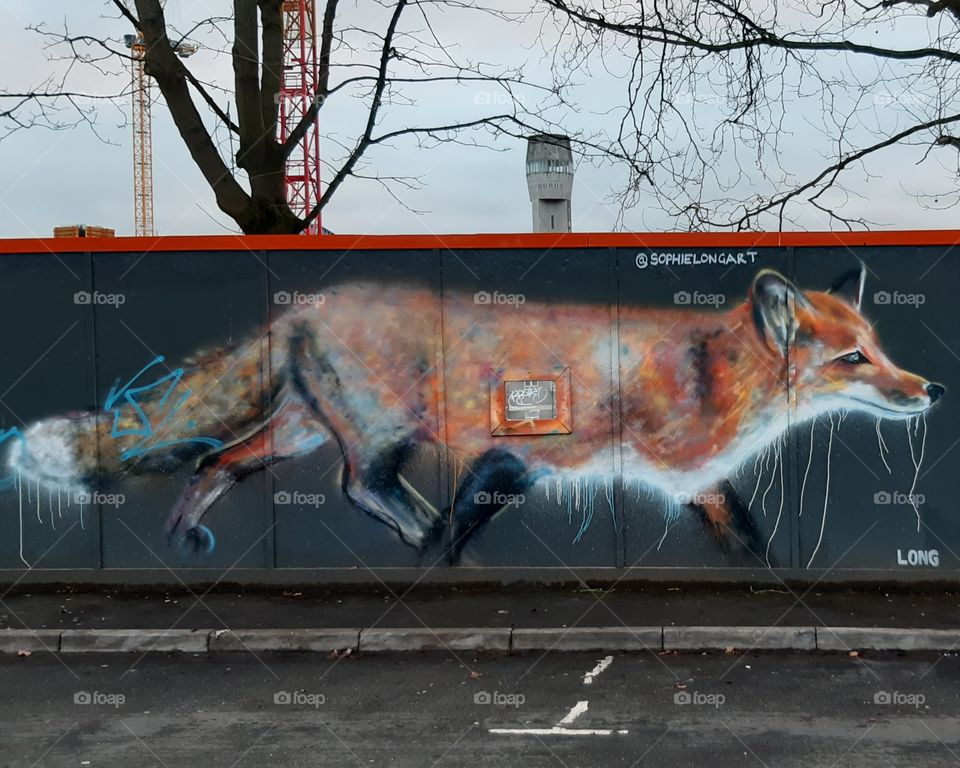 Street art of a fox on boarding In Bristol