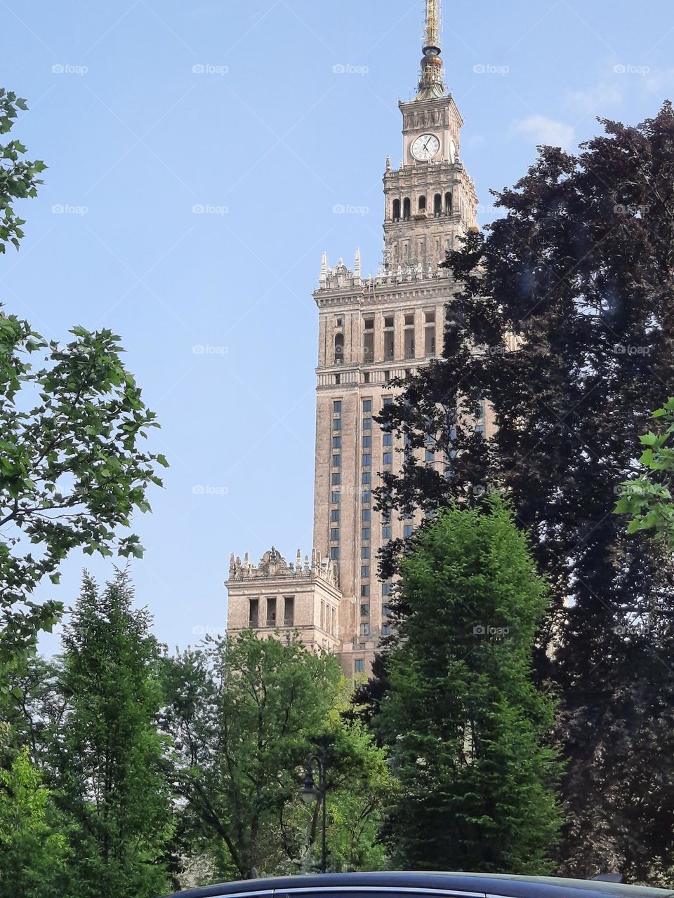 pałace of culture behind trees