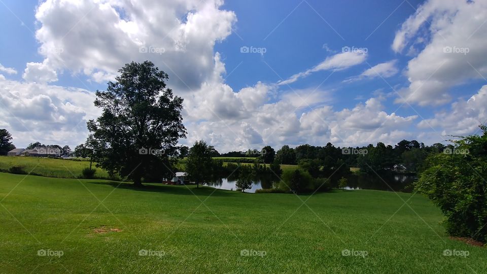 Golf, Landscape, Tree, Grass, Lawn