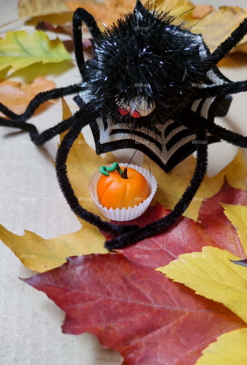 Spider and pumpkin