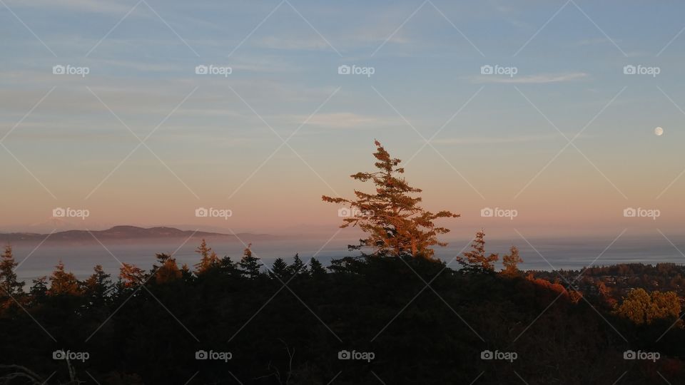 Landscape, Tree, Sunset, Dawn, Sky