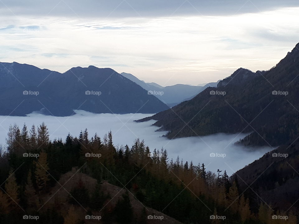 Am Schabenreitnerstein