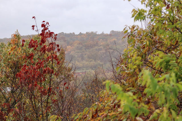 view from my daughters window. Fall is beautiful!