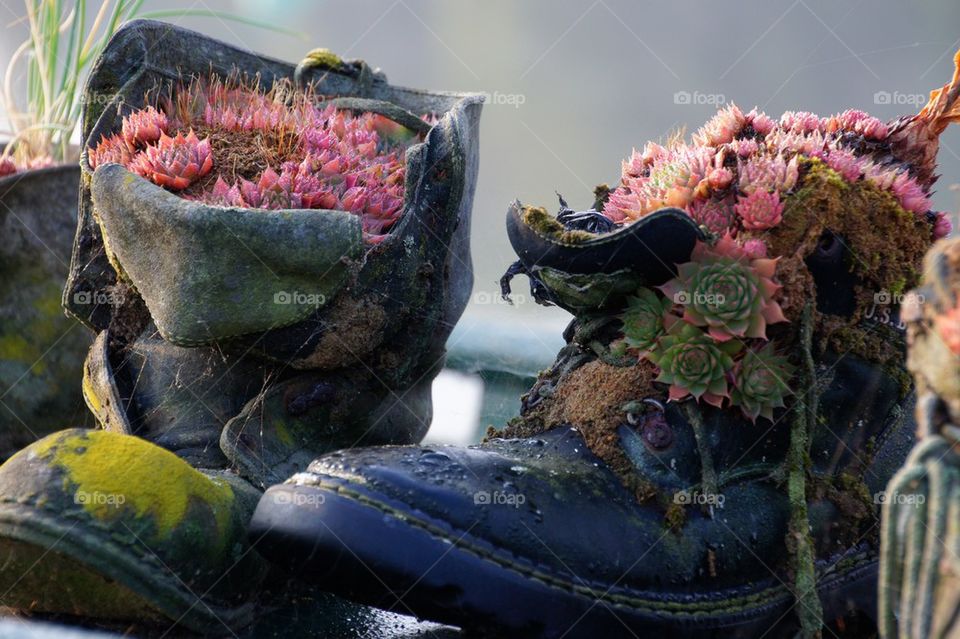 Close up of boots as planters