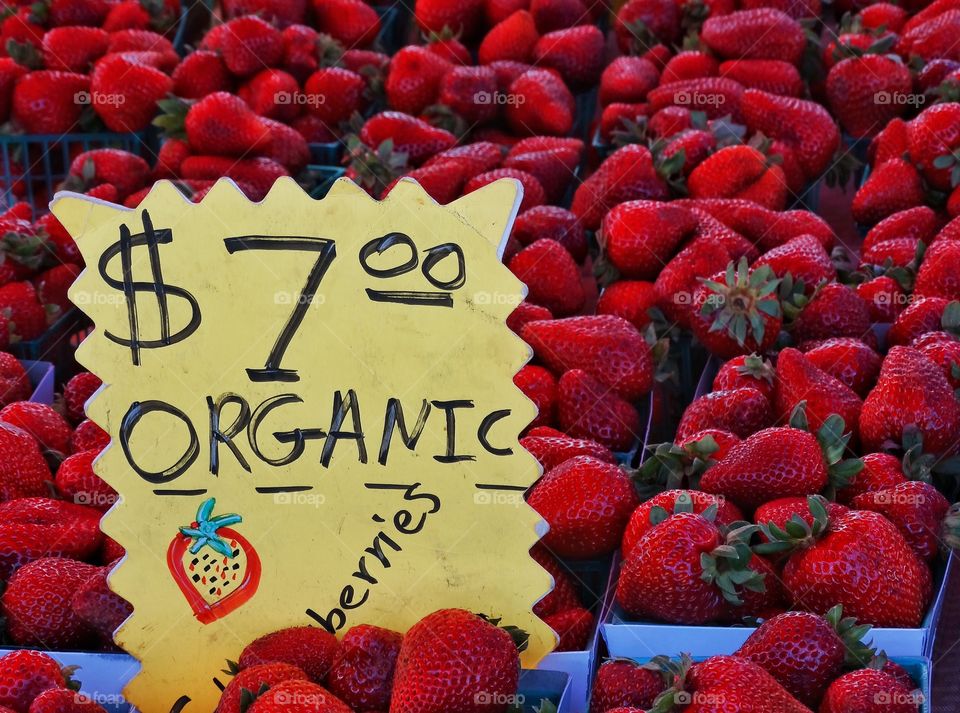 Fresh Strawberries. Fresh Organic Strawberries
