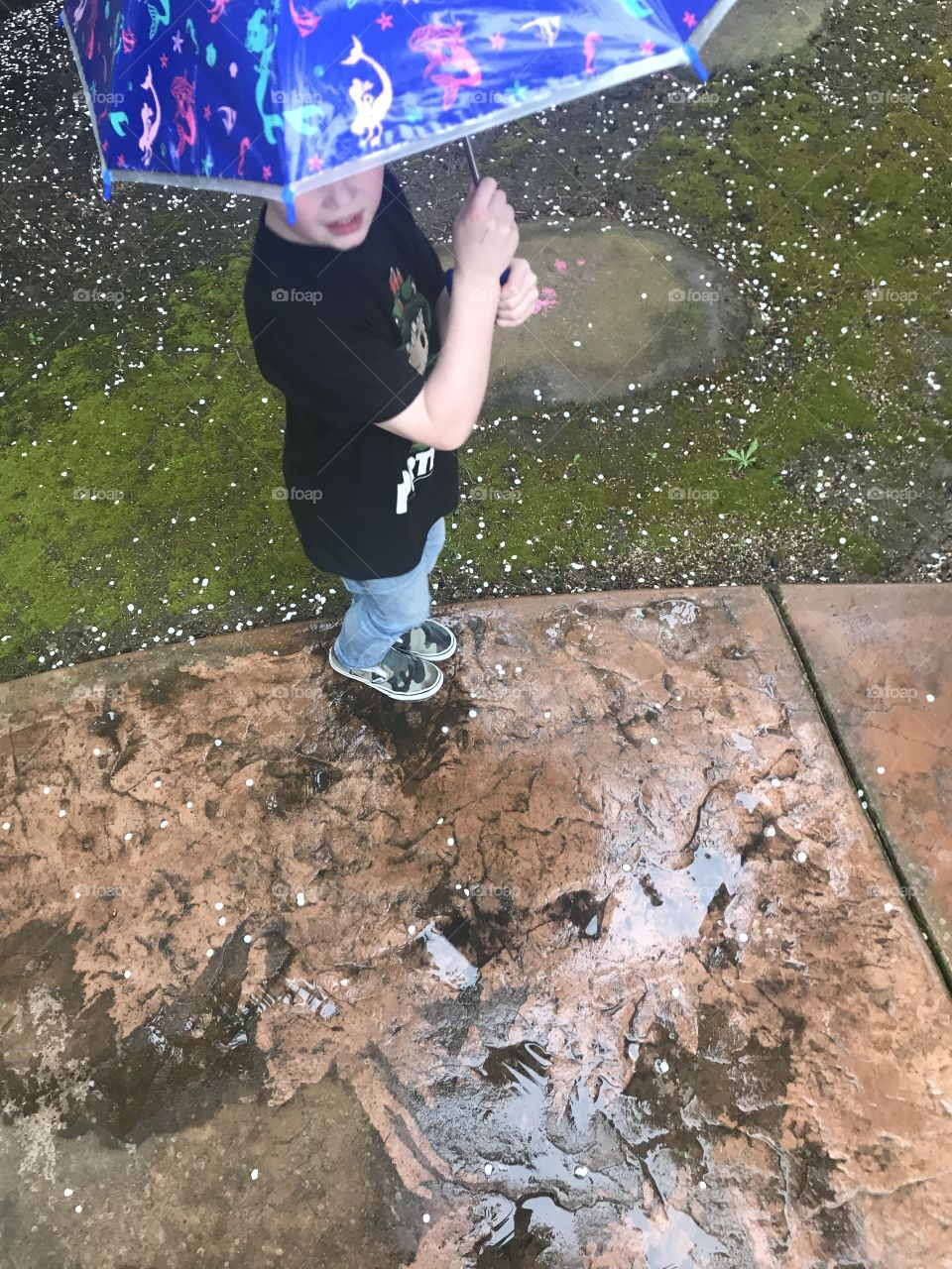 Little boy In the rain with an umbrella 