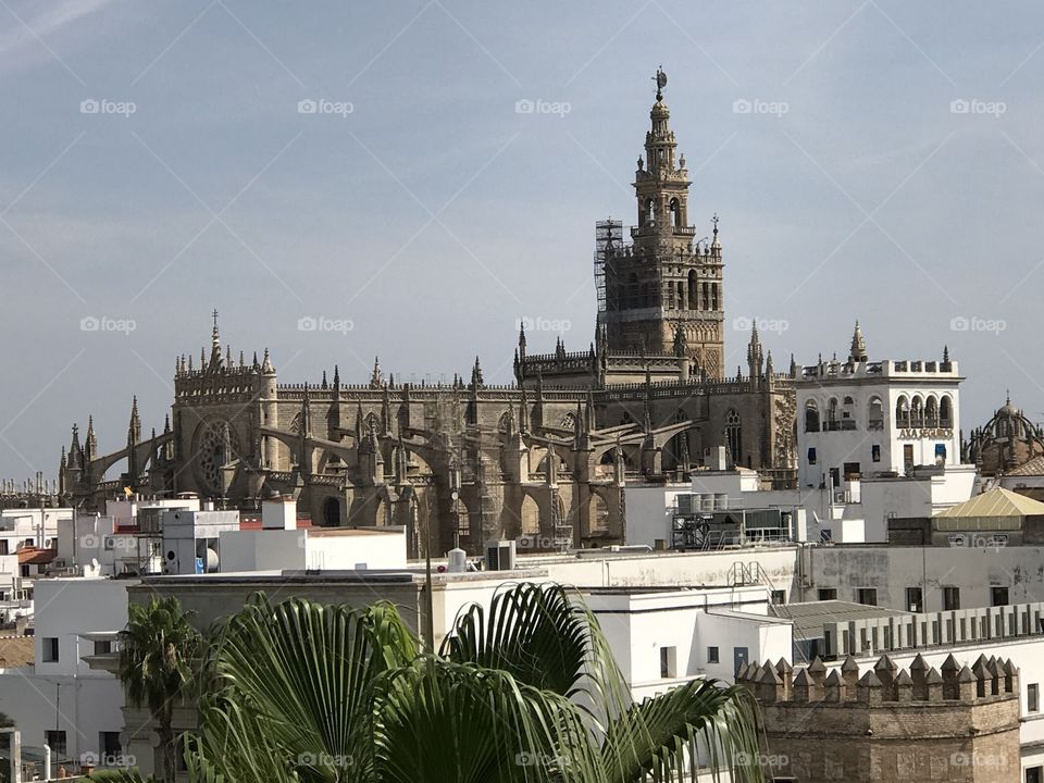 Gothic Cathedral in Seville 