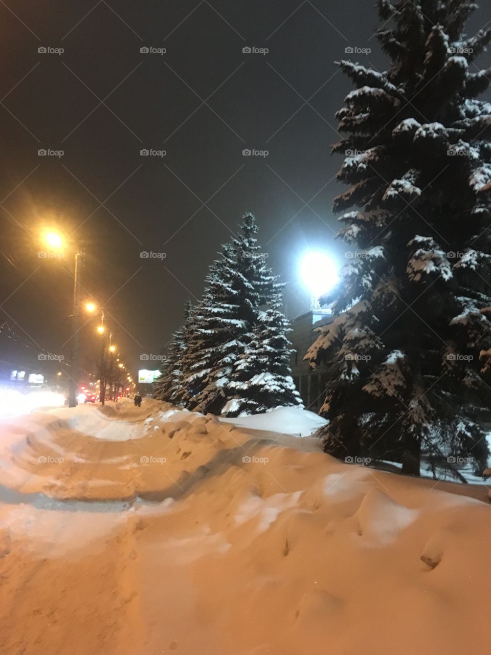 Прогулка по вечернему городу зимой вид на голубые ели