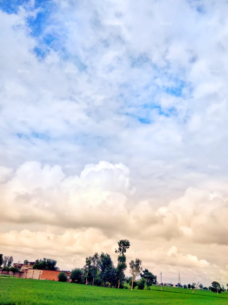 Nature view