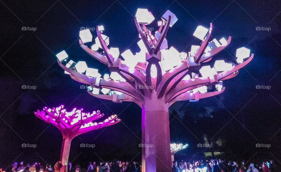 Illuminating light sculpture installation in Golden Gate Park in San Francisco California glowing with pink light in the night 