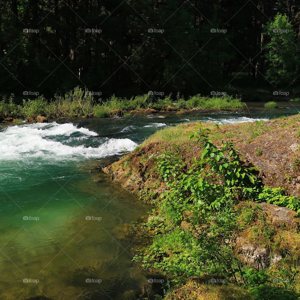 The incredible turquoise waters of the Blue River in the Willamette National Forest on a sunny spring day. 