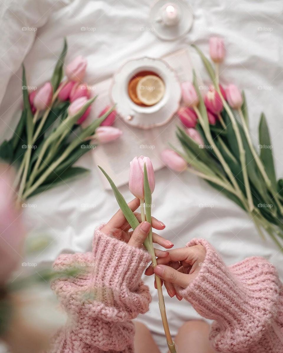 pink flowers, nice composition, nice colors