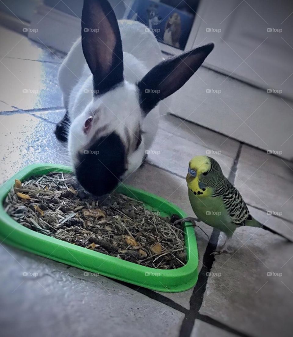 Mmmmm thinking’s birds nest 🤔