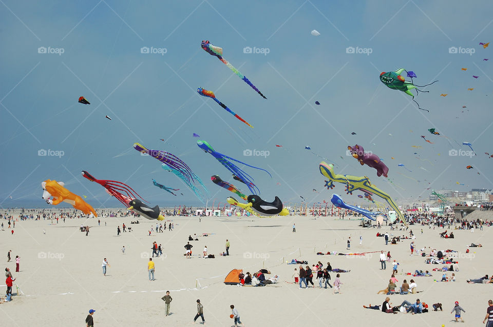 Kites on the beach
