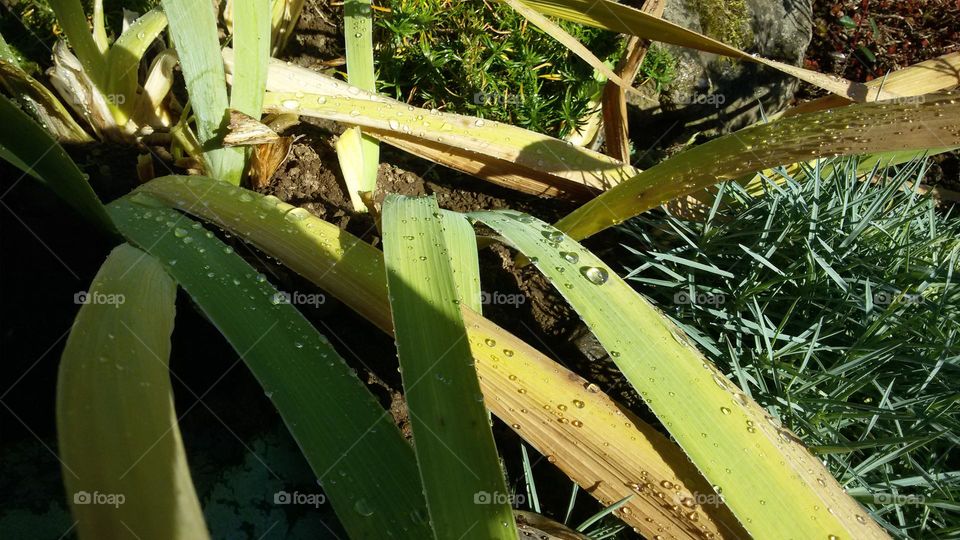 A while after the train (My first photo on my first phone)