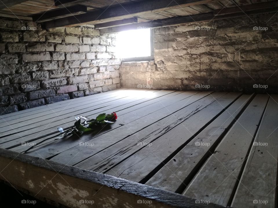 Auschwitz-Birkenau bed of prisoners