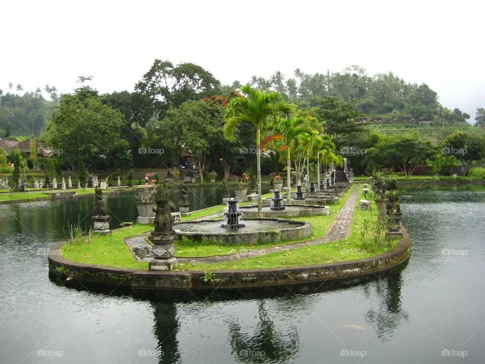 Balinese Pond and Garden
