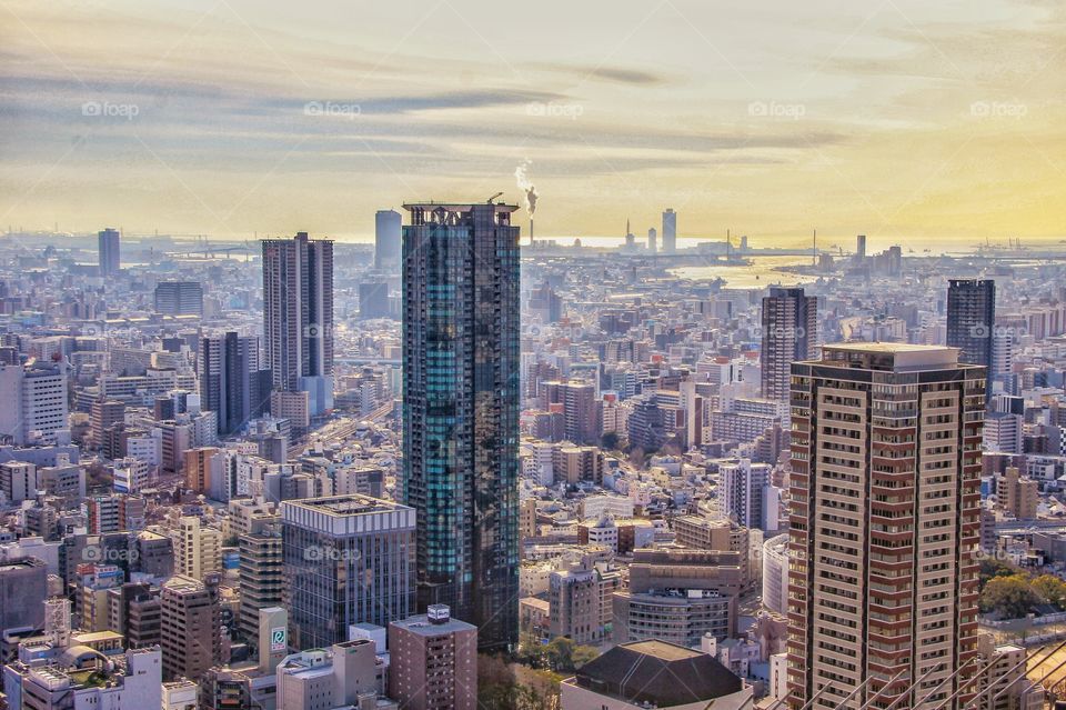 cityscape view of Tokyo