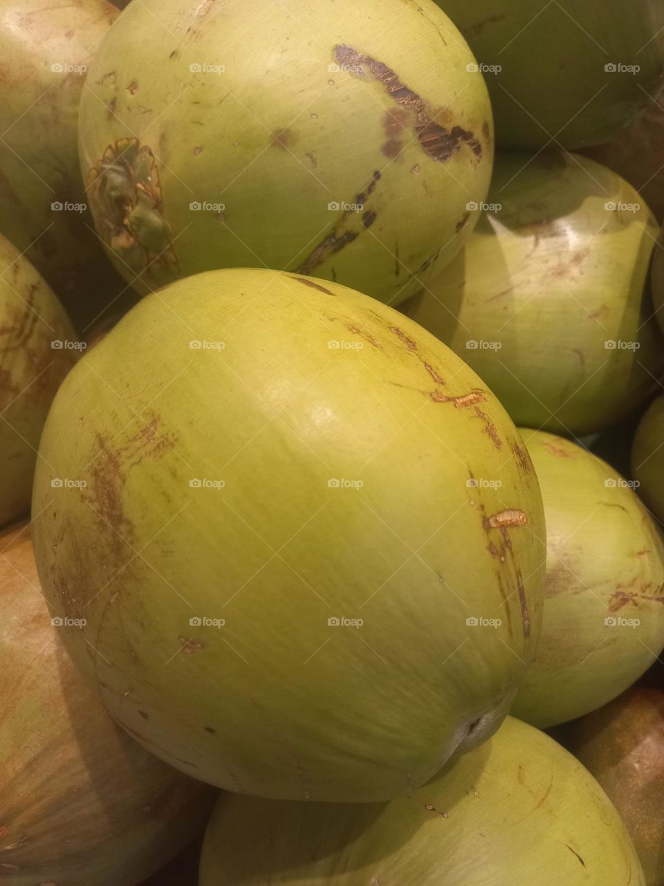 Coco verde é ótima fonte de potássio nutriente responsável pela saúde cardiovascular, tem magnésio, que ajuda a melhorar o metabolismo, fortalece os ossos, evita cãibras e tem ação anti-inflamatoria