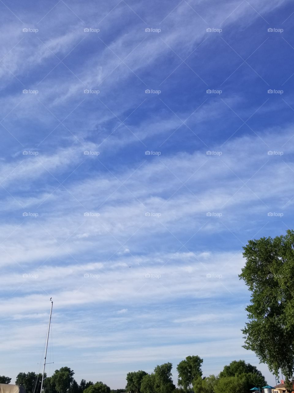 Wispy clouds