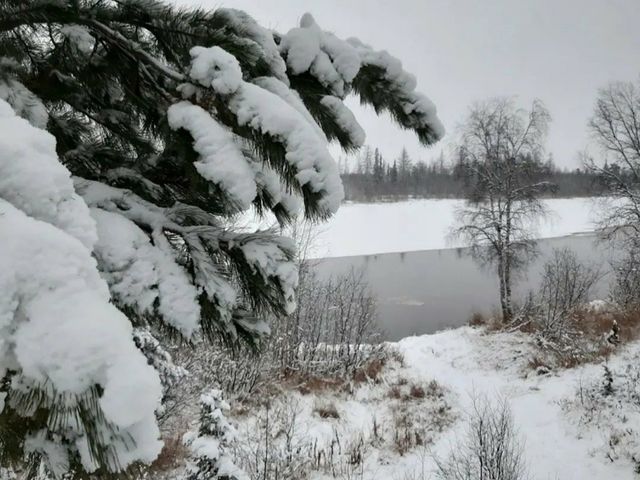 Природа Зимой
