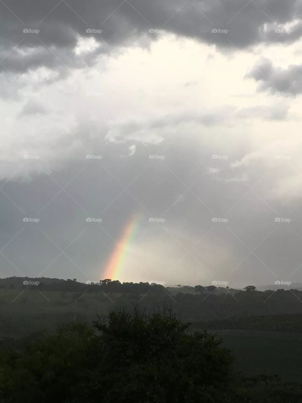 Natureza do Brasil