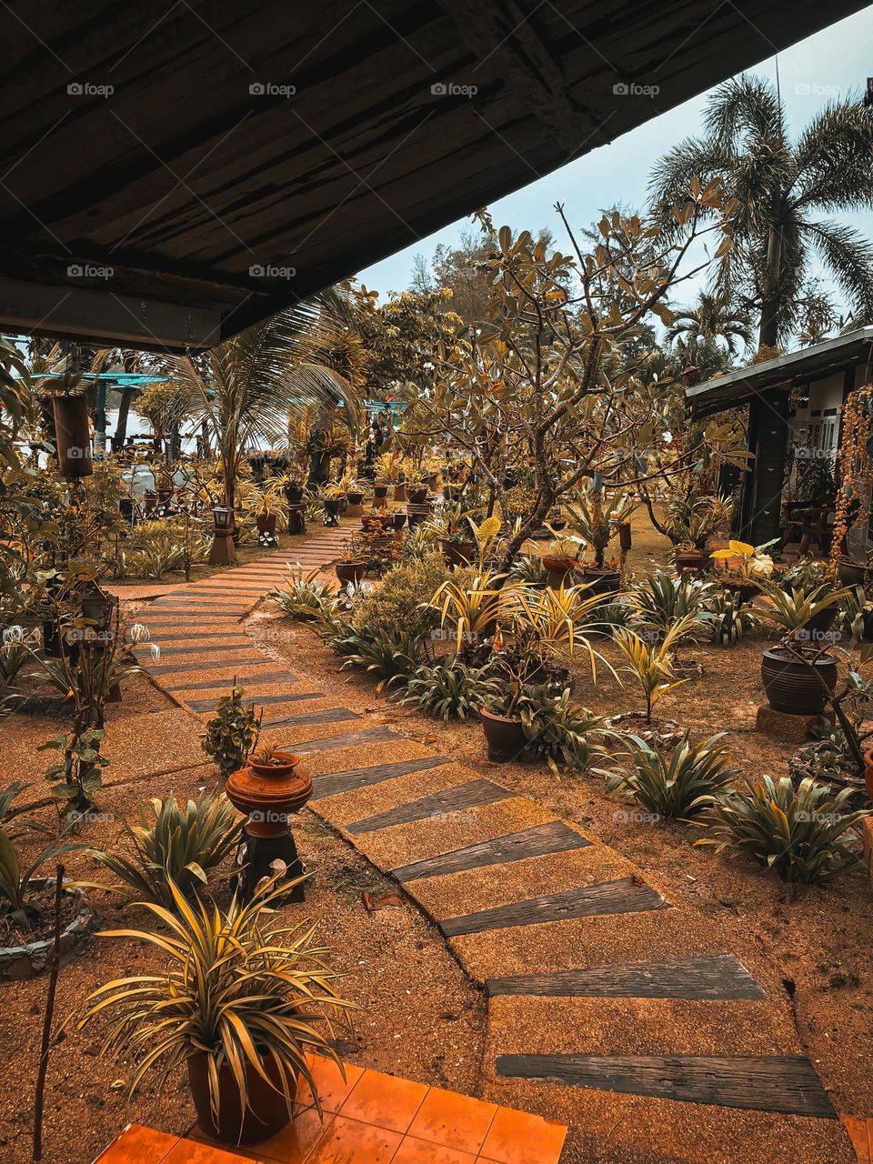 Colourful path in nature