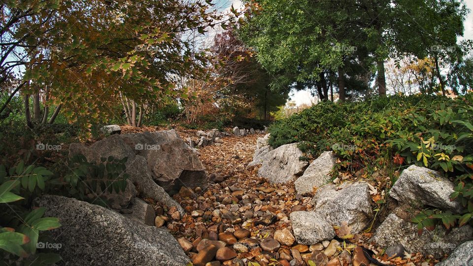 Otoño Autumn Madrid rio