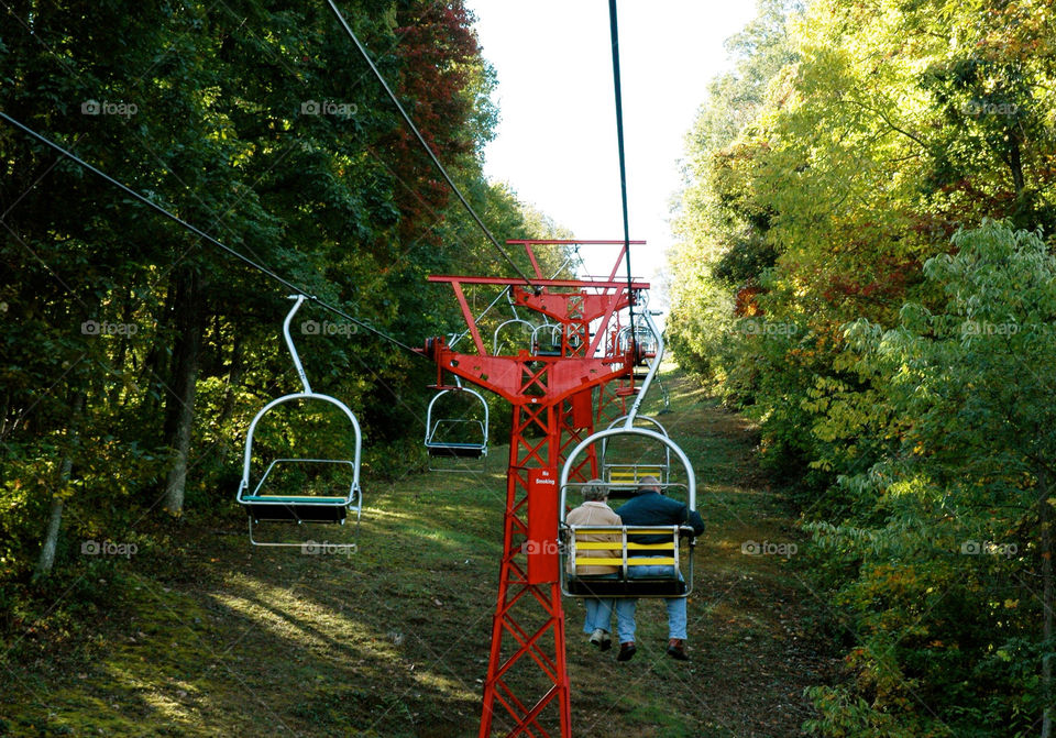 trees leaves lift ski by refocusphoto