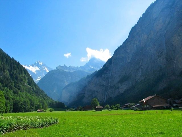 Nature