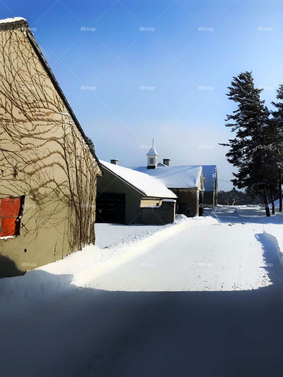 Old farm buildings