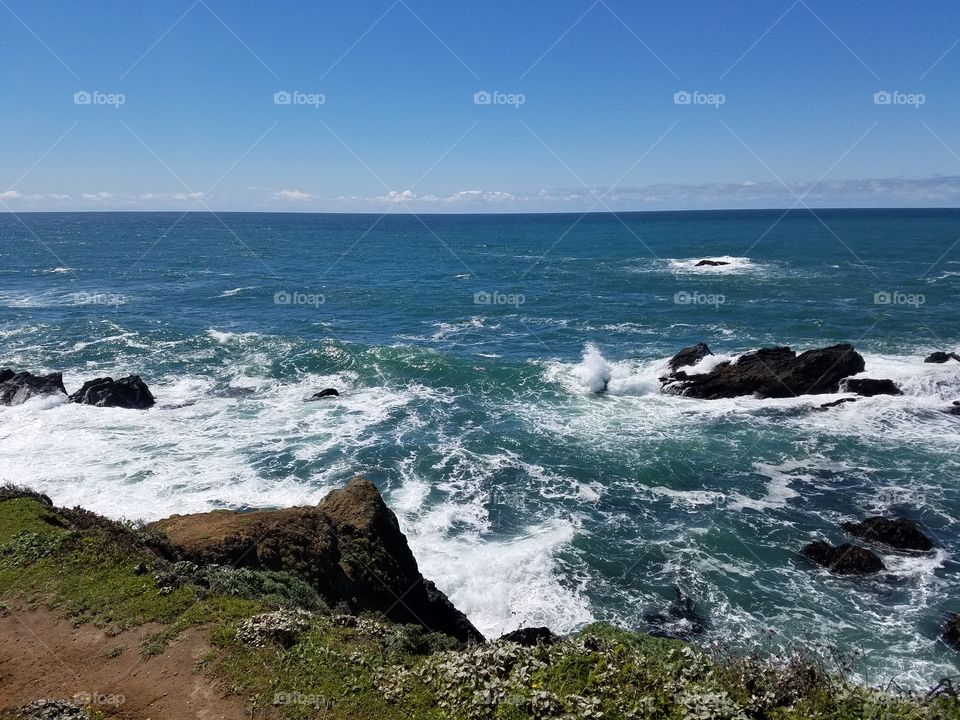 bodega bay ocean beach