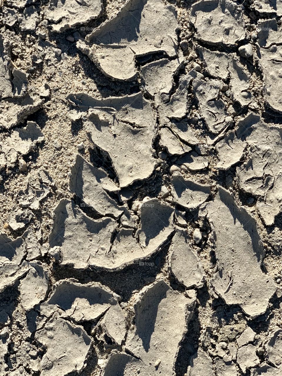 Dried mud near the river 