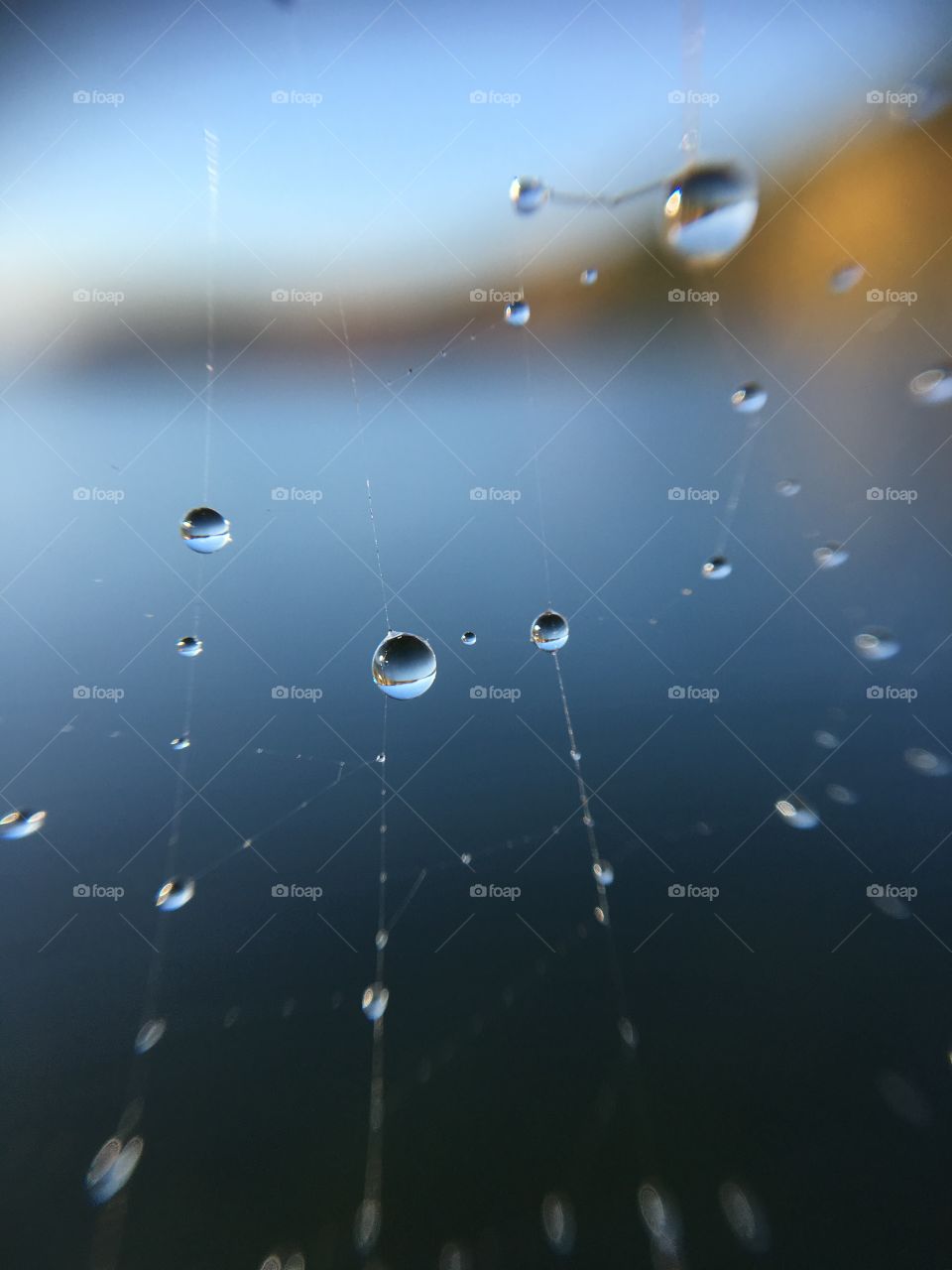 Rain, Drop, Insubstantial, Droplet, Dew