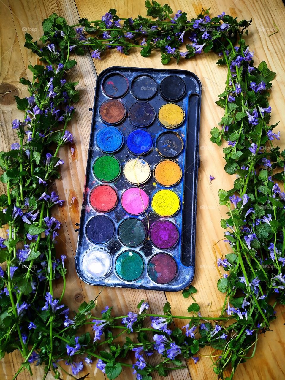 Multicolored watercolor paints around which a frame of blue wildflowers
