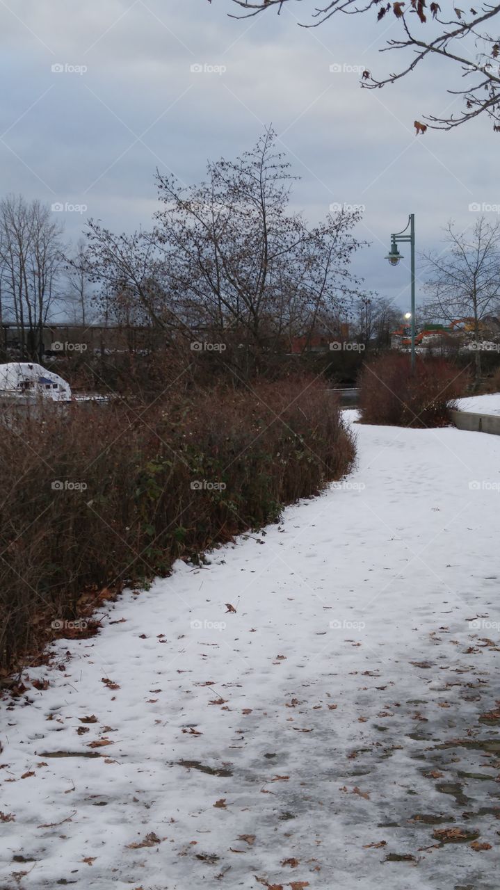 winter pathway