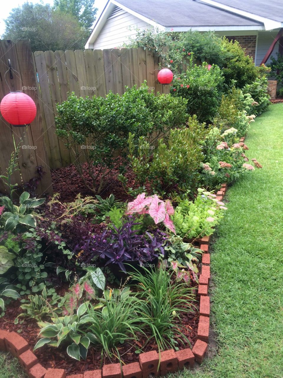 Garden, Flower, Flora, Backyard, No Person