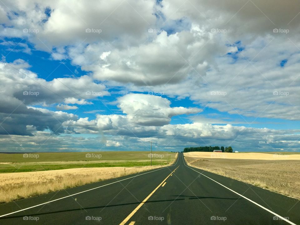 Wheat Country, Harrington, WA