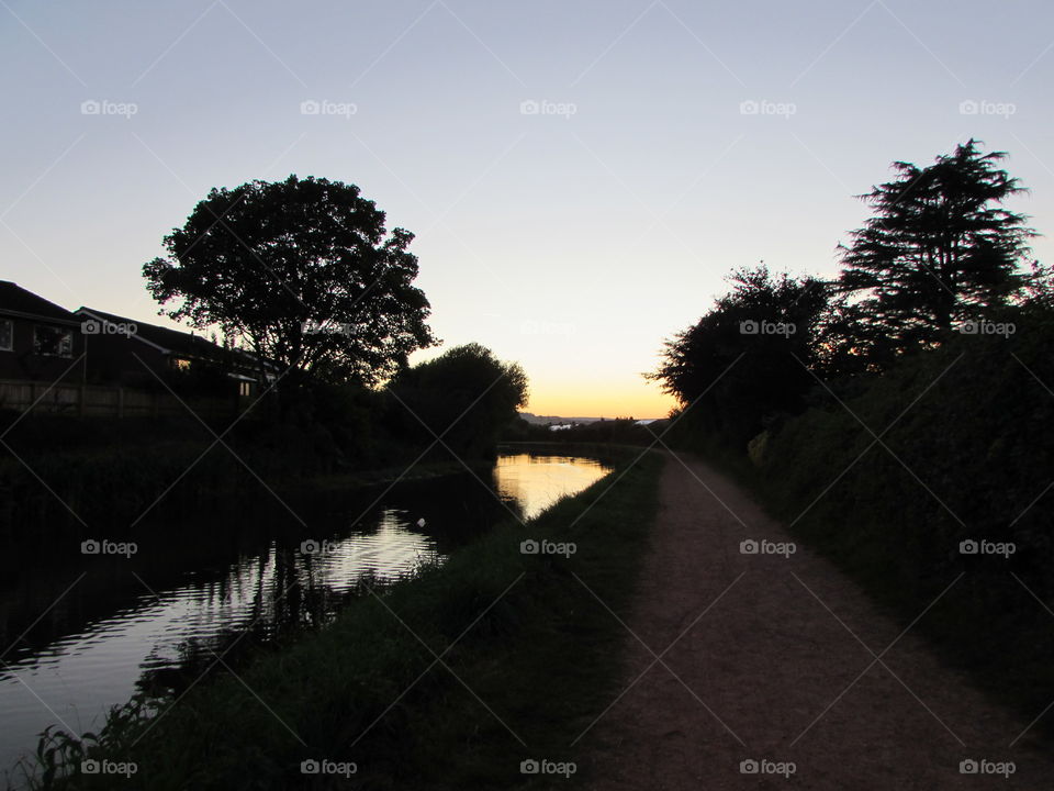 Tree, Landscape, Water, Lake, Reflection