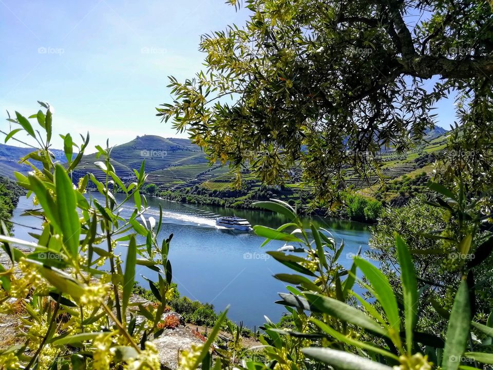 From A to B... Douro river, Portugal