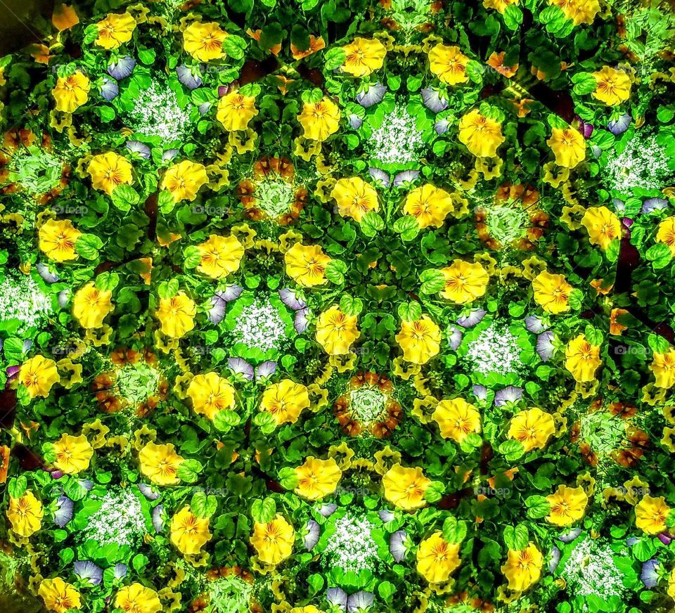 Floral Patterns Greens Yellow Pansy