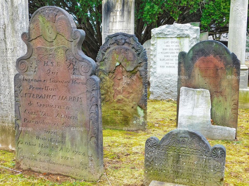 Grove Street Cemetery 