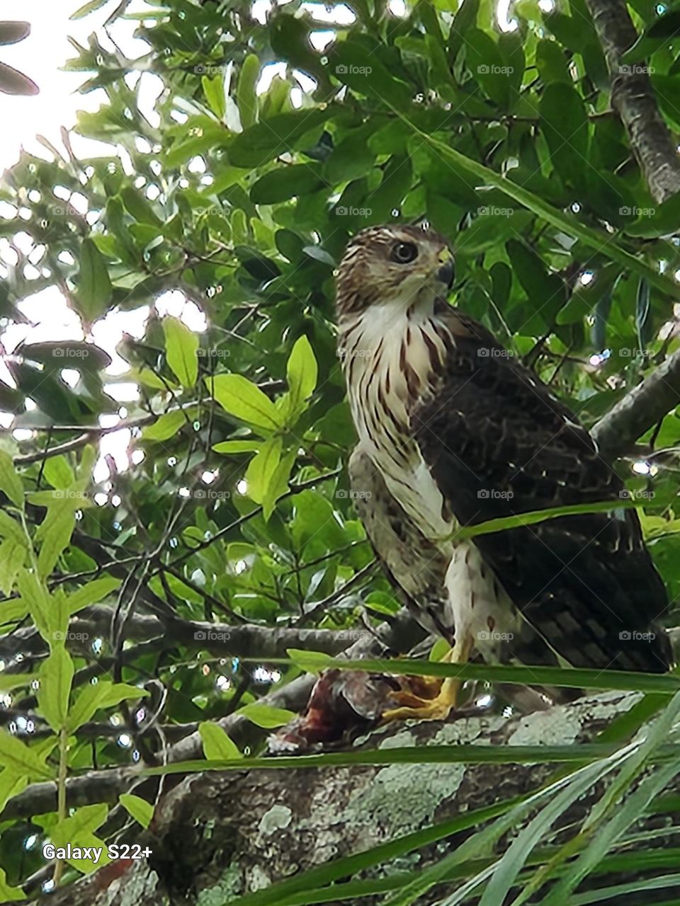 Bird perched on branch