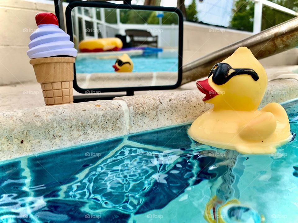 Duck Floating In The Pool Mirror Reflection, Craving For Its Ice Cream On The Edge