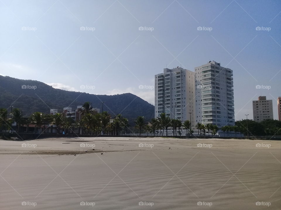 building on the beach and Brazilian  Atlantic forest