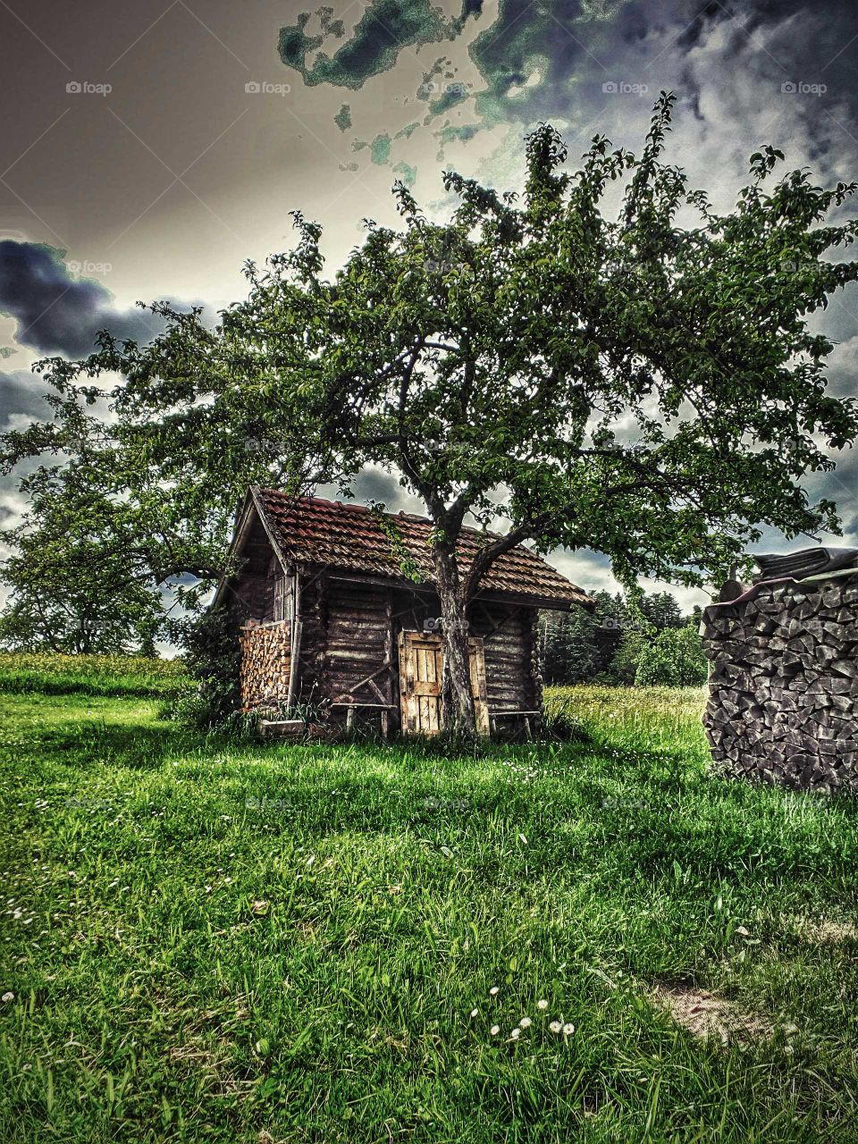 store. an old store beside a cornfield