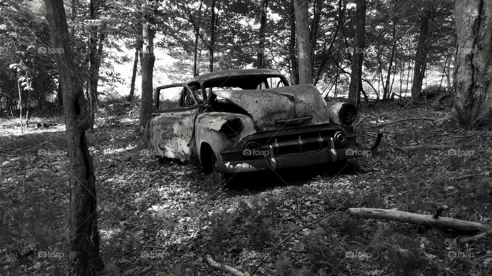 Old Car in the Woods